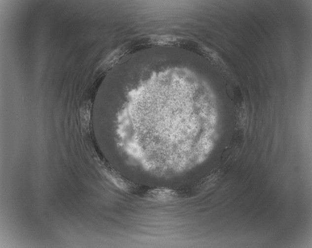 X0000078840427200612041844