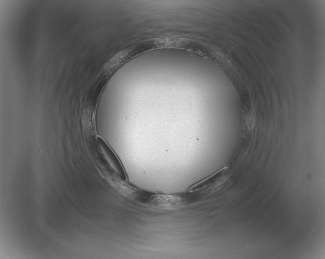 X0000078840429200612041844