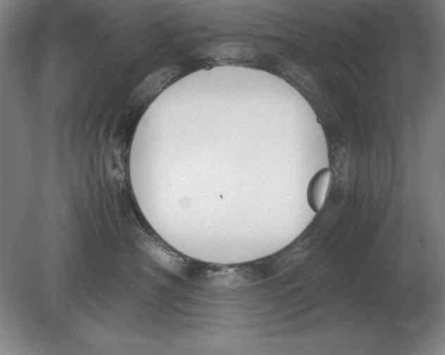 X0000078840430200612041844