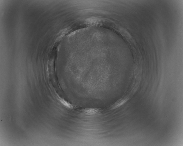 X0000078840432200612041844