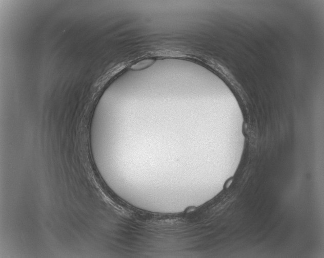 X0000078840433200612041843