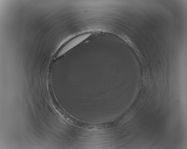 X0000078840434200612041843