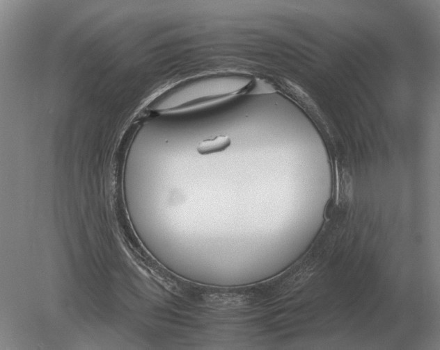 X0000078840435200612041843