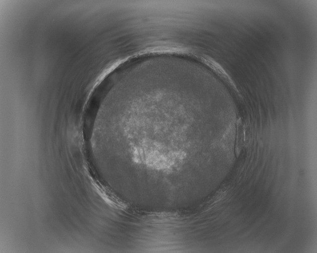 X0000078840436200612041843