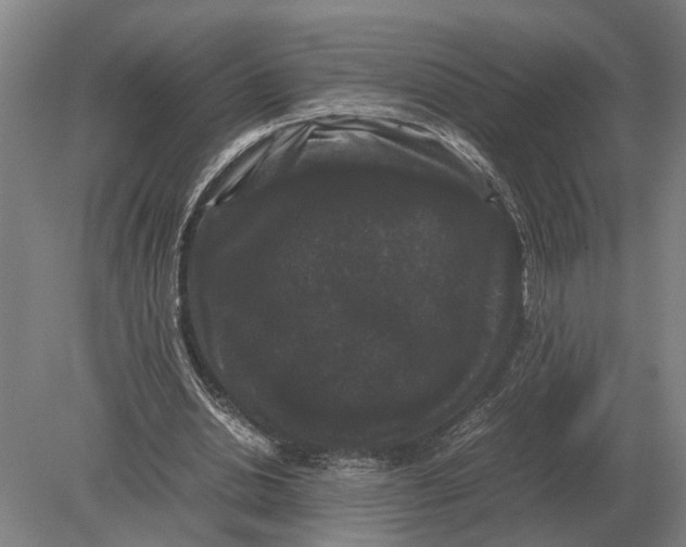 X0000078840438200612041843