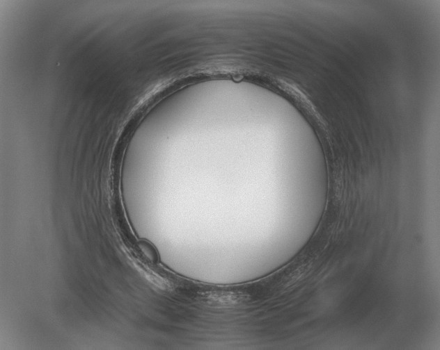 X0000078840439200612041843