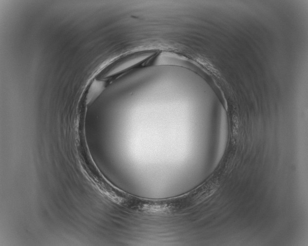 X0000078840440200612041843