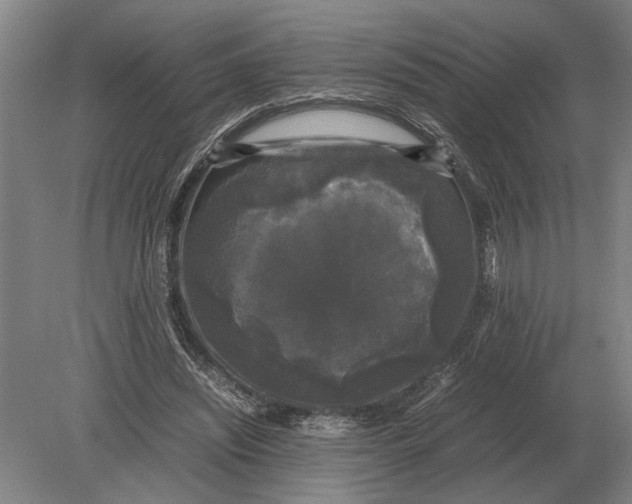 X0000078840444200612041843