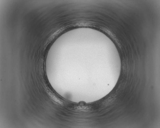 X0000078840445200612041843