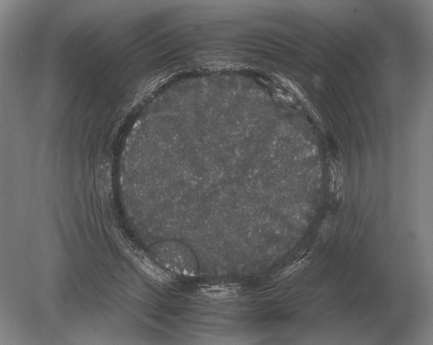 X0000078840447200612041844