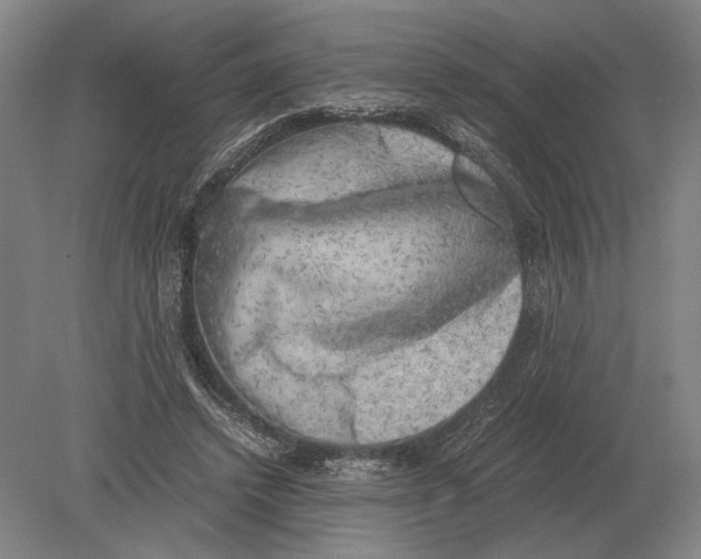 X0000078840448200612041844