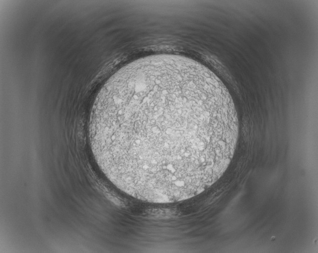 X0000078840449200612041844