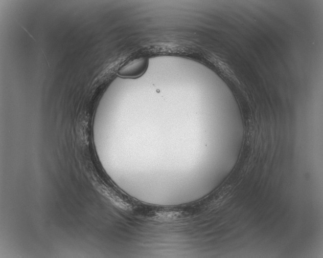 X0000078840450200612041844