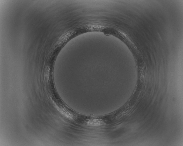 X0000078840451200612041844