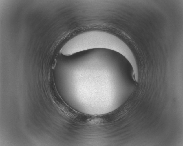 X0000078840452200612041844