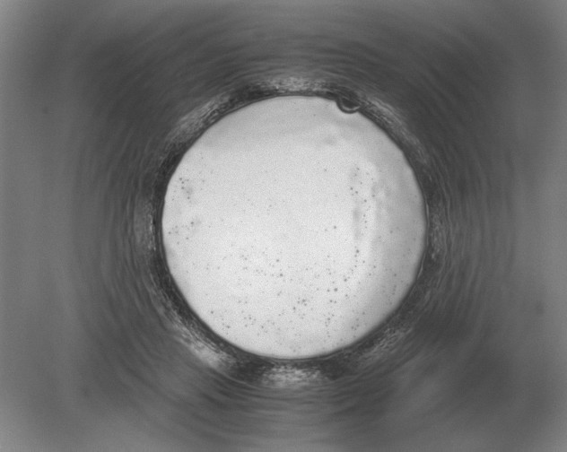 X0000078840453200612041844