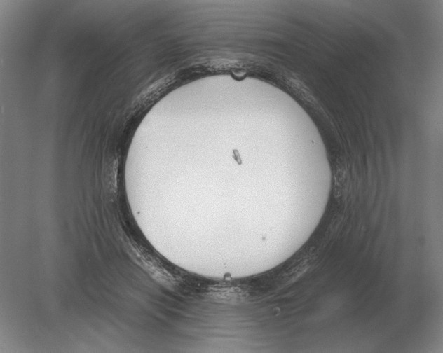 X0000078840454200612041844