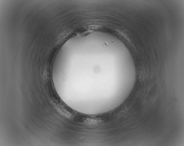 X0000078840455200612041844