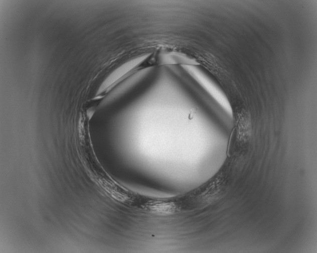 X0000078840456200612041844