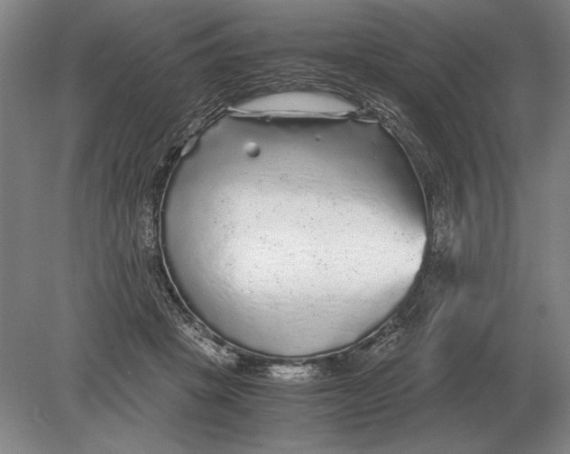 X0000078840457200612041844