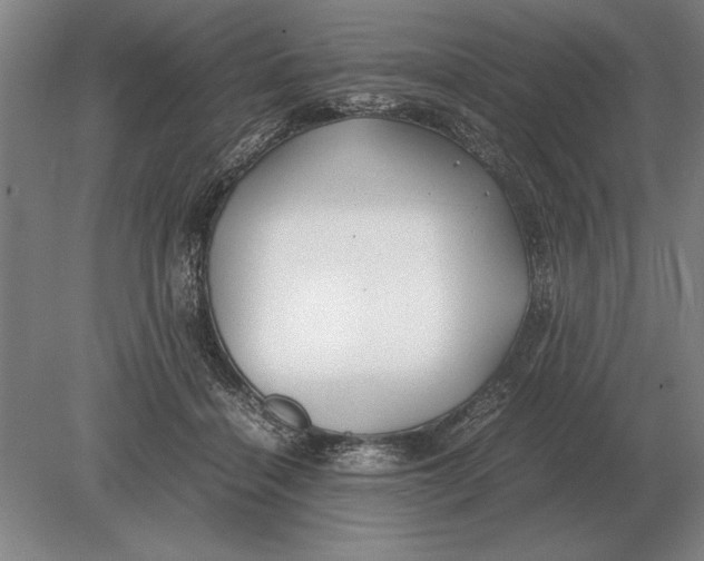 X0000078840460200612041844