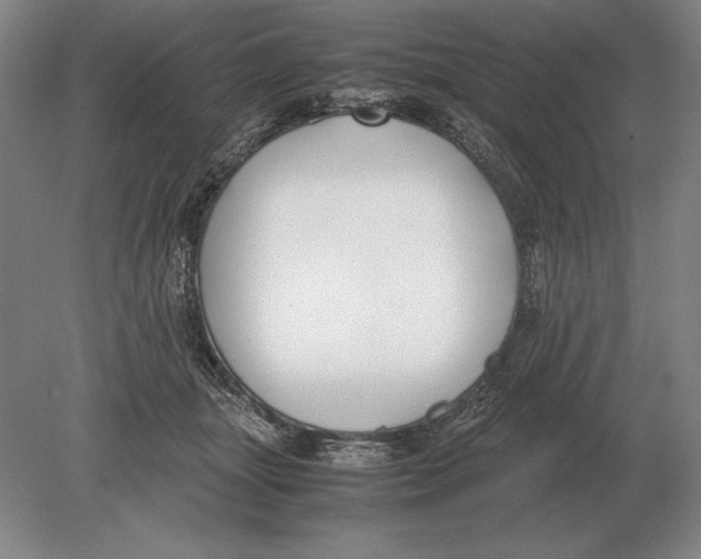 X0000078840463200612041844