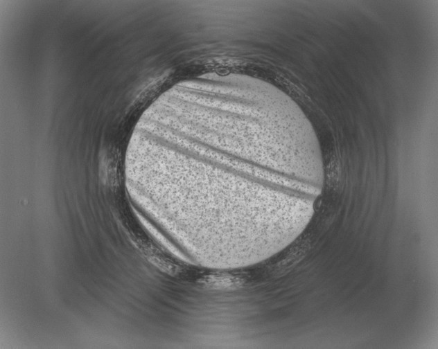 X0000078840464200612041844