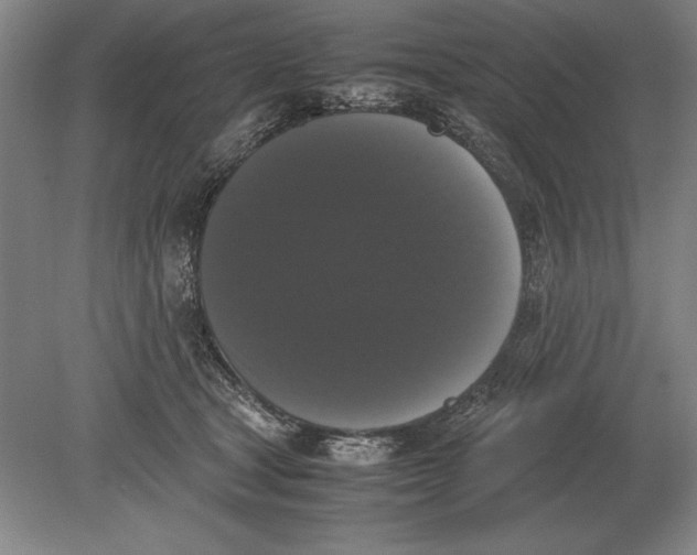 X0000078840465200612041844