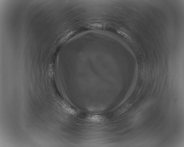 X0000078840467200612041844