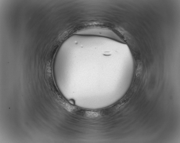 X0000078840469200612041844