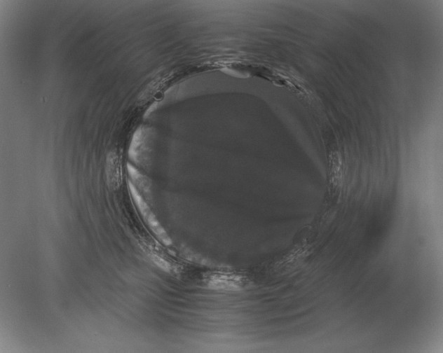 X0000078840471200612041844