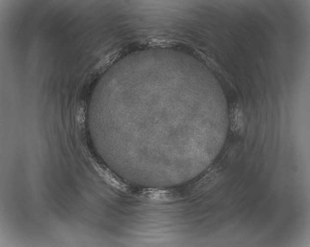 X0000078840472200612041844