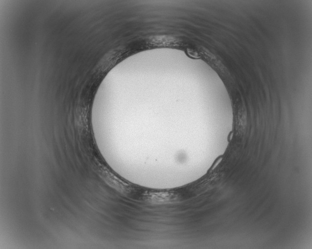 X0000078840473200612041844