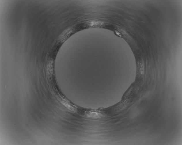 X0000078840475200612041844