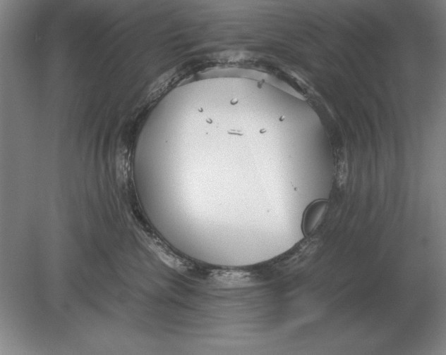 X0000078840476200612041844