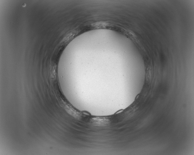 X0000078840477200612041844