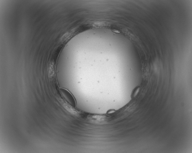 X0000078840478200612041844