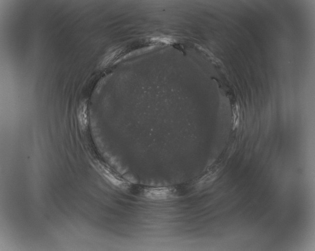 X0000078840479200612041844