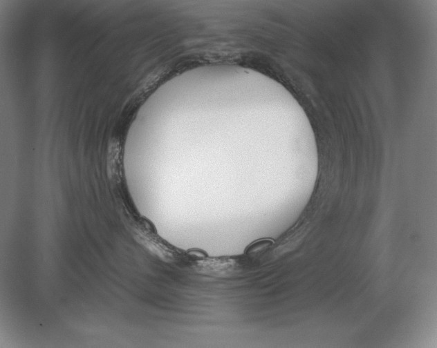 X0000078840480200612041844