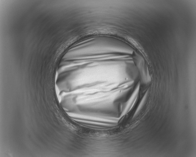 X0000078840481200612041843