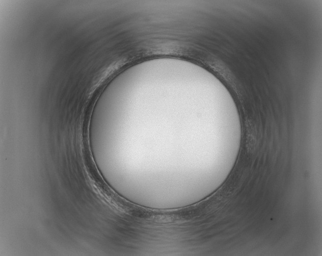 X0000078840482200612041843