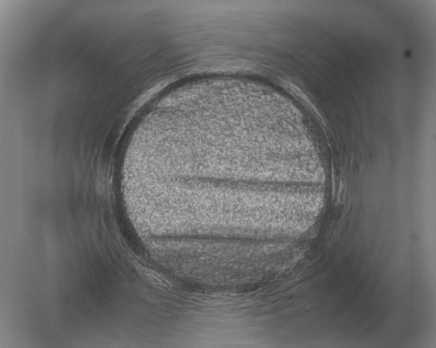 X0000078840483200612041843