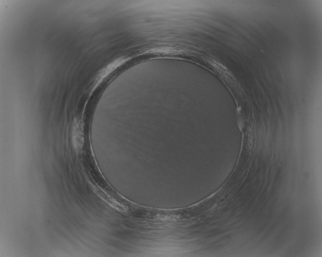 X0000078840484200612041843