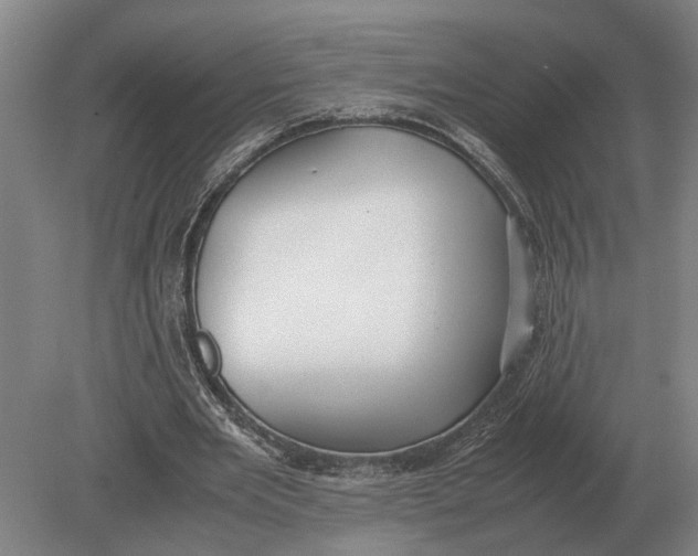 X0000078840485200612041843