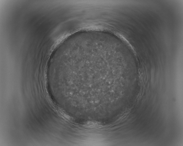 X0000078840487200612041843