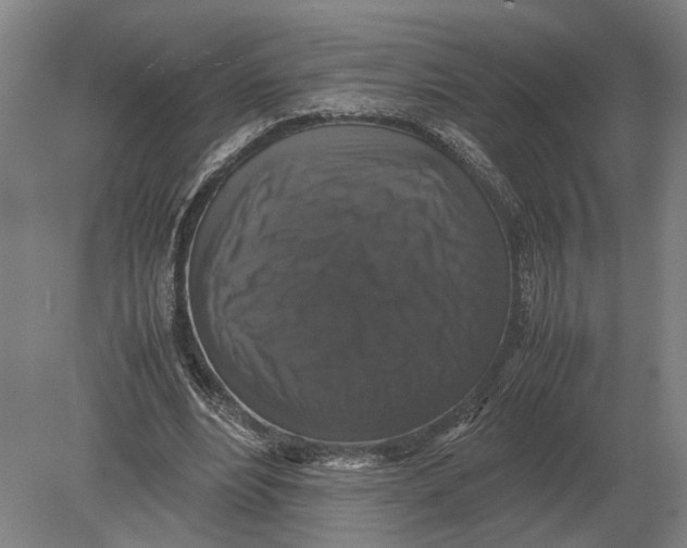 X0000078840488200612041843