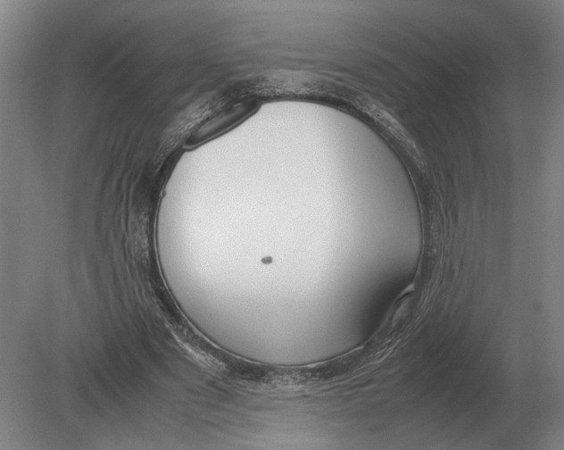 X0000078840489200612041843