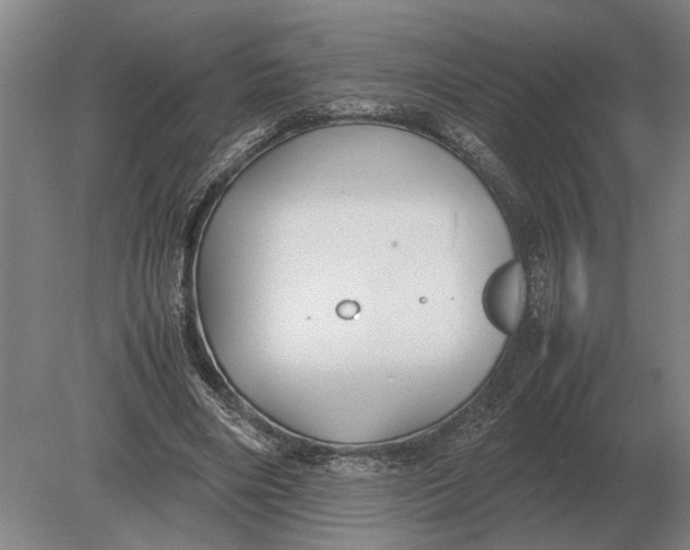 X0000078840490200612041843