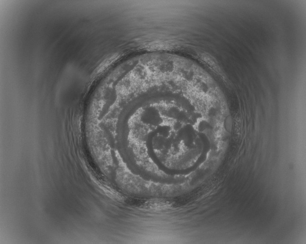 X0000078840491200612041843