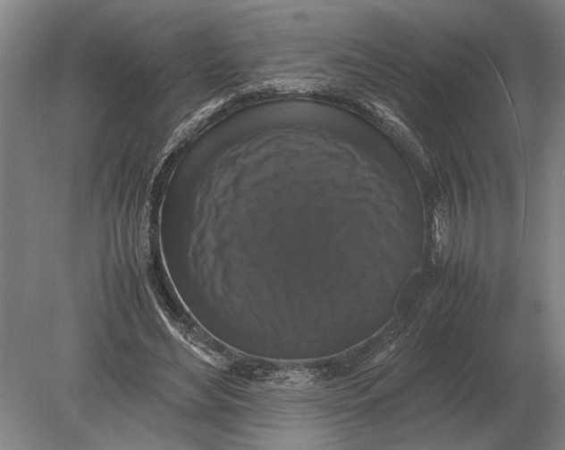 X0000078840492200612041843